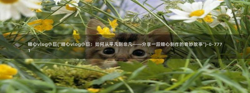 糖心vlog官网观看