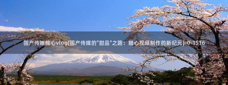 糖心vlog日常