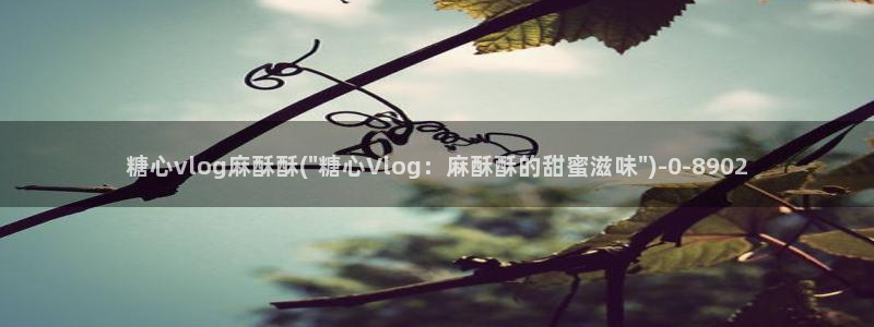 糖心vlog免