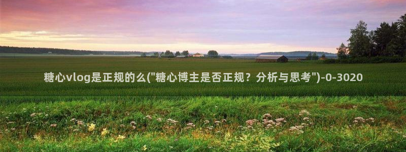 糖心vlog在线网站