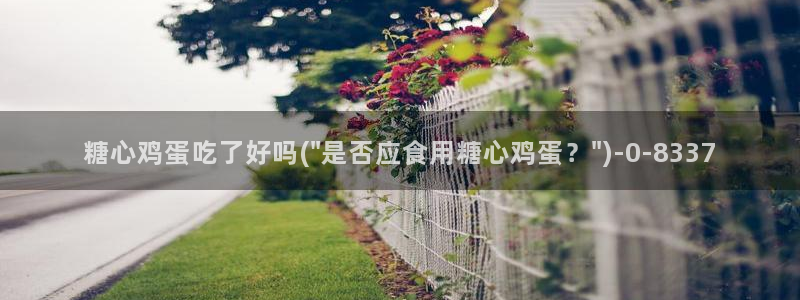 糖心vlog艺人