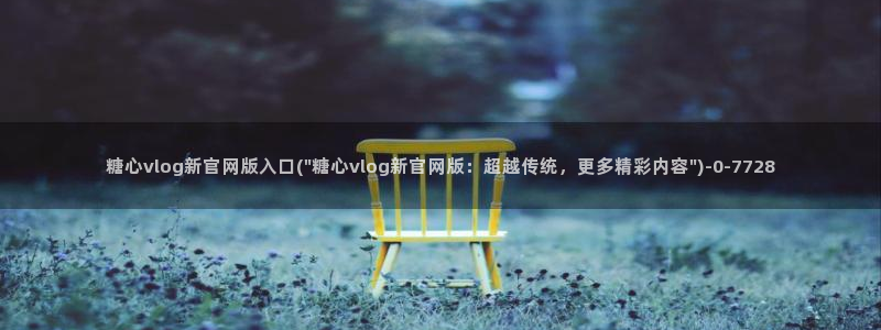 糖心vlog许木学长