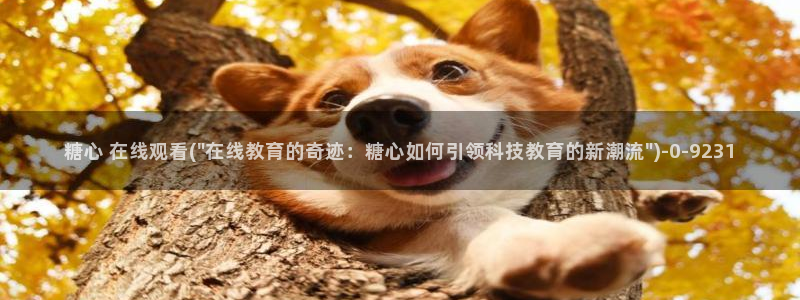 糖心vlog免费版本