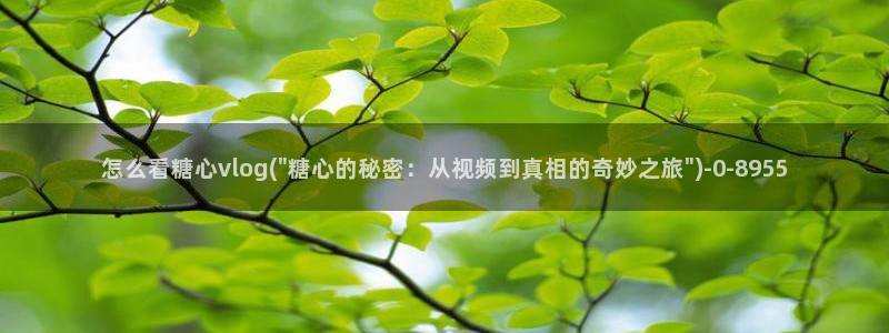 糖心vlog免