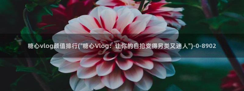九一糖心vlog